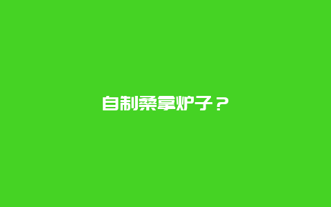 自制桑拿炉子？