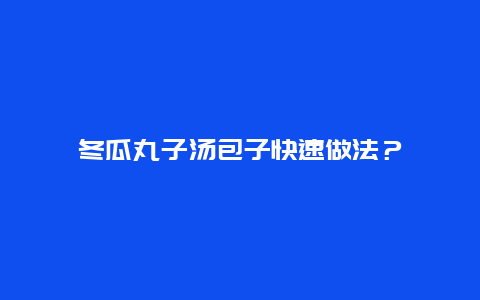 冬瓜丸子汤包子快速做法？