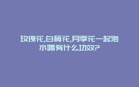 玫瑰花,白梅花,月季花一起泡水喝有什么功效?