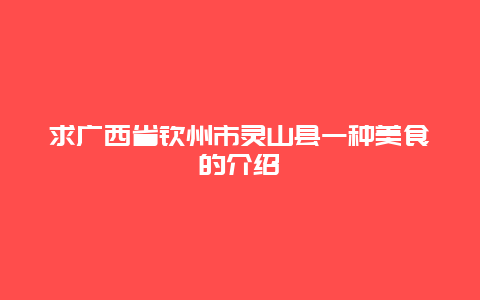 求广西省钦州市灵山县一种美食的介绍