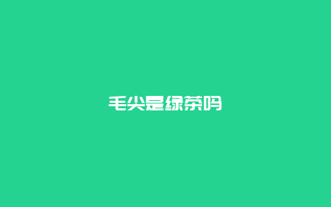 毛尖是绿茶吗