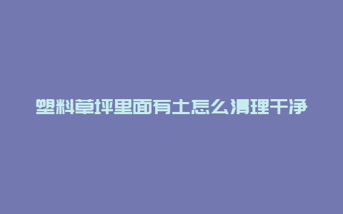 塑料草坪里面有土怎么清理干净