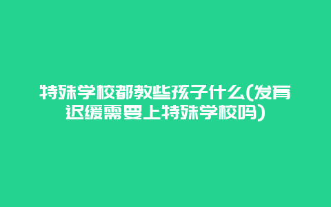 特殊学校都教些孩子什么(发育迟缓需要上特殊学校吗)