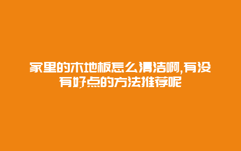 家里的木地板怎么清洁啊,有没有好点的方法推荐呢