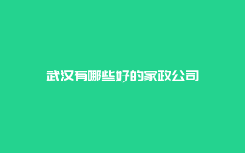 武汉有哪些好的家政公司