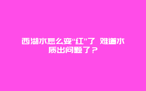 西湖水怎么变“红”了 难道水质出问题了？