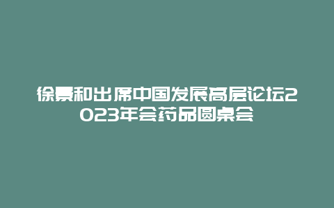 徐景和出席中国发展高层论坛2023年会药品圆桌会