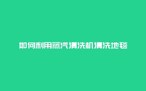 如何利用蒸汽清洗机清洗地毯