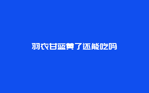 羽衣甘蓝黄了还能吃吗