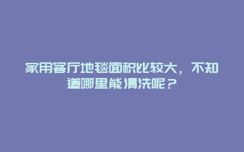 家用客厅地毯面积比较大，不知道哪里能清洗呢？