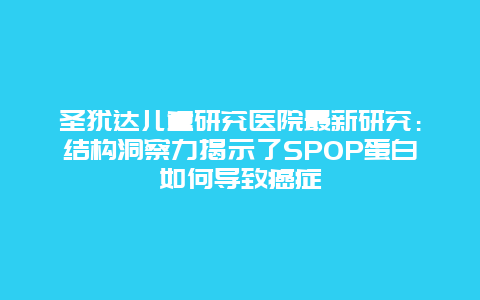 圣犹达儿童研究医院最新研究：结构洞察力揭示了SPOP蛋白如何导致癌症