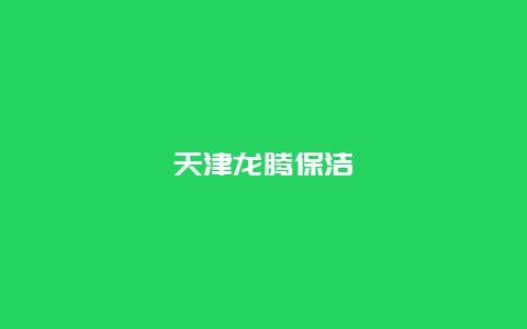 天津龙腾保洁