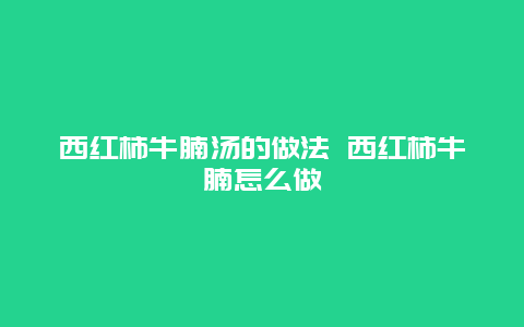 西红柿牛腩汤的做法 西红柿牛腩怎么做