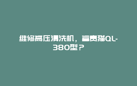 维修高压清洗机，富贵猫QL-380型？