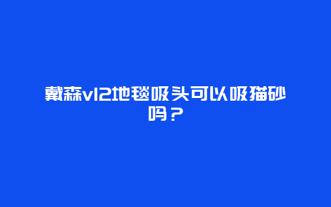 戴森v12地毯吸头可以吸猫砂吗？