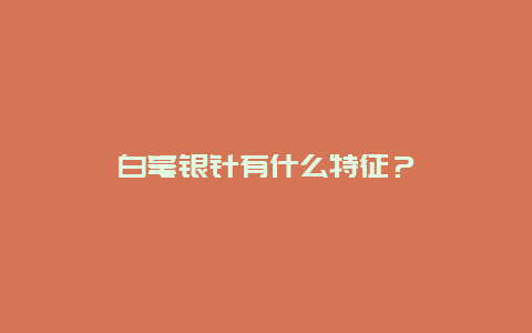 白毫银针有什么特征？