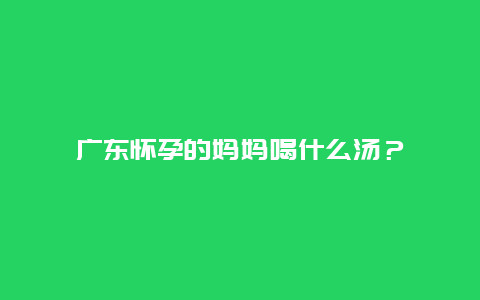 广东怀孕的妈妈喝什么汤？