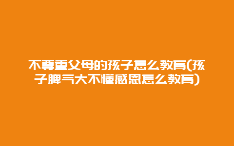 不尊重父母的孩子怎么教育(孩子脾气大不懂感恩怎么教育)