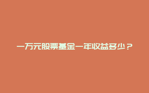 一万元股票基金一年收益多少？