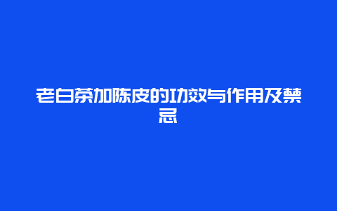 老白茶加陈皮的功效与作用及禁忌