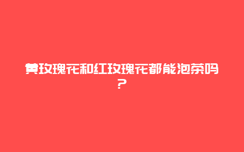 黄玫瑰花和红玫瑰花都能泡茶吗?