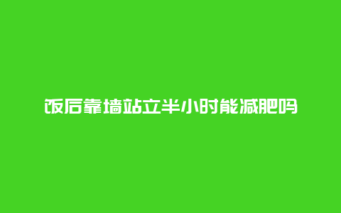 饭后靠墙站立半小时能减肥吗