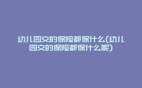 幼儿园交的保险都保什么(幼儿园交的保险都保什么呢)