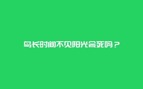 鸟长时间不见阳光会死吗？