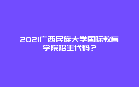 2021广西民族大学国际教育学院招生代码？