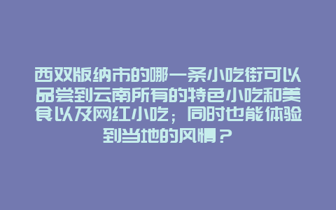 西双版纳市的哪一条小吃街可以品尝到云南所有的特色小吃和美食以及网红小吃；同时也能体验到当地的风情？