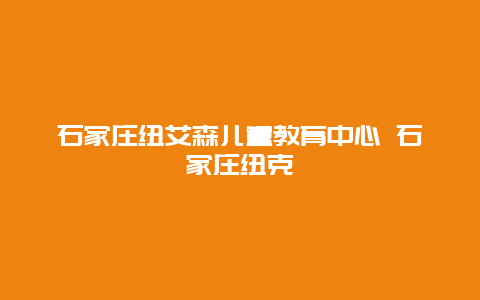 石家庄纽艾森儿童教育中心 石家庄纽克