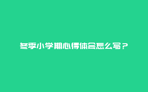 冬季小学期心得体会怎么写？