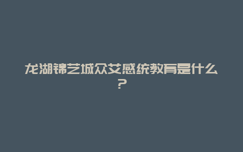 龙湖锦艺城众艾感统教育是什么？