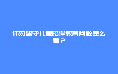 你对留守儿童陪伴教育问题怎么看？