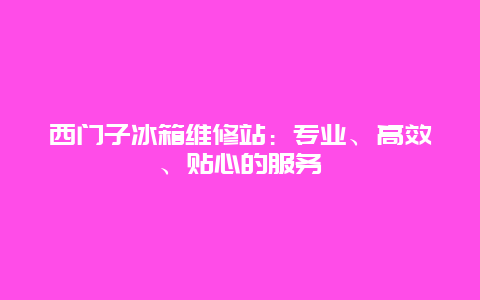 西门子冰箱维修站：专业、高效、贴心的服务