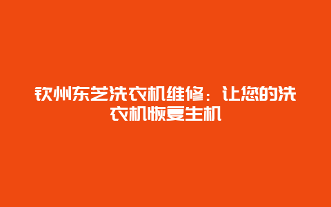 钦州东芝洗衣机维修：让您的洗衣机恢复生机