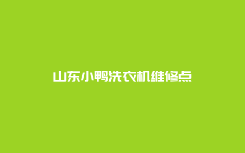 山东小鸭洗衣机维修点