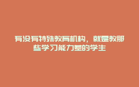 有没有特殊教育机构，就是教那些学习能力差的学生