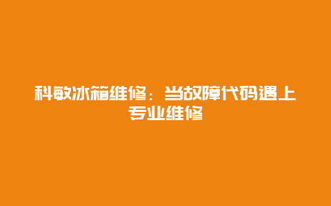 科敏冰箱维修：当故障代码遇上专业维修