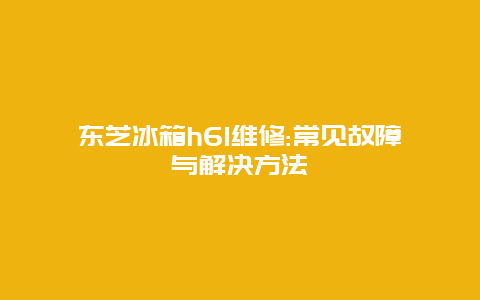 东芝冰箱h61维修:常见故障与解决方法