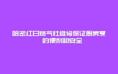 哈密红日燃气灶维修保证厨房烹饪的便利和安全