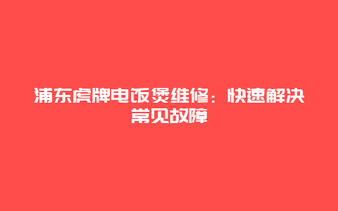 浦东虎牌电饭煲维修：快速解决常见故障