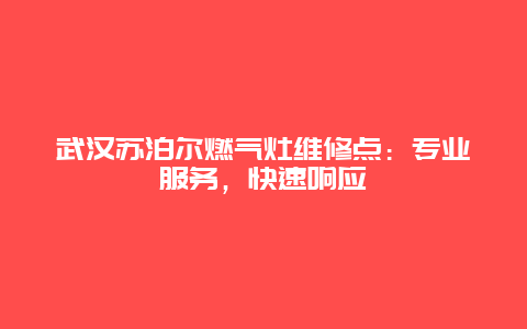 武汉苏泊尔燃气灶维修点：专业服务，快速响应