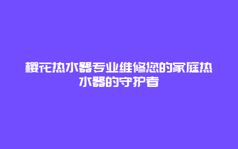 樱花热水器专业维修您的家庭热水器的守护者