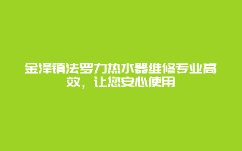 金泽镇法罗力热水器维修专业高效，让您安心使用