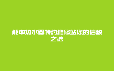 能率热水器特约维修站您的信赖之选