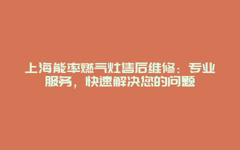 上海能率燃气灶售后维修：专业服务，快速解决您的问题