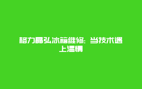 格力晶弘冰箱维修: 当技术遇上温情