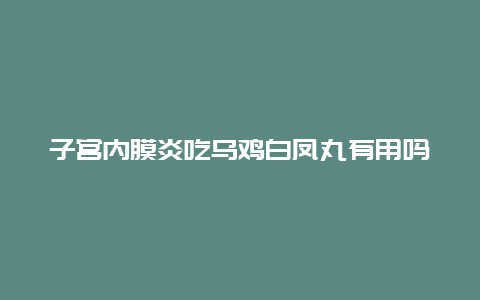 子宫内膜炎吃乌鸡白凤丸有用吗