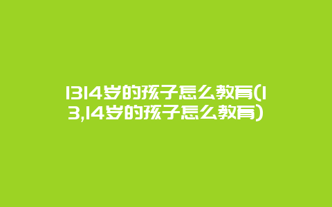 1314岁的孩子怎么教育(13,14岁的孩子怎么教育)